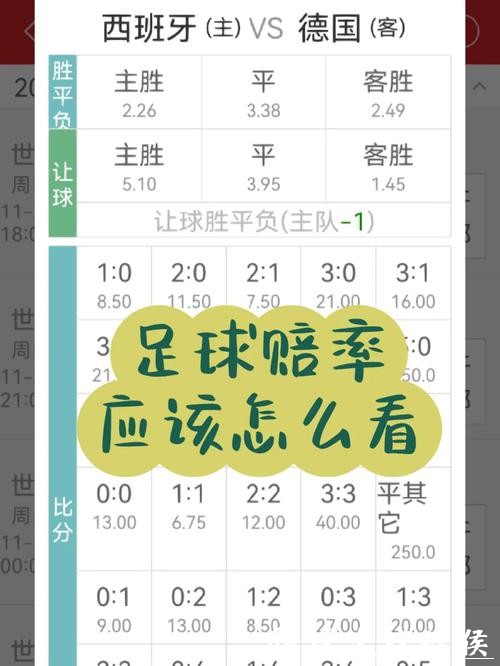 世界杯投注赔率解读:如何选择最佳机会 世界杯投注赔率解读:如何选择最佳机会
